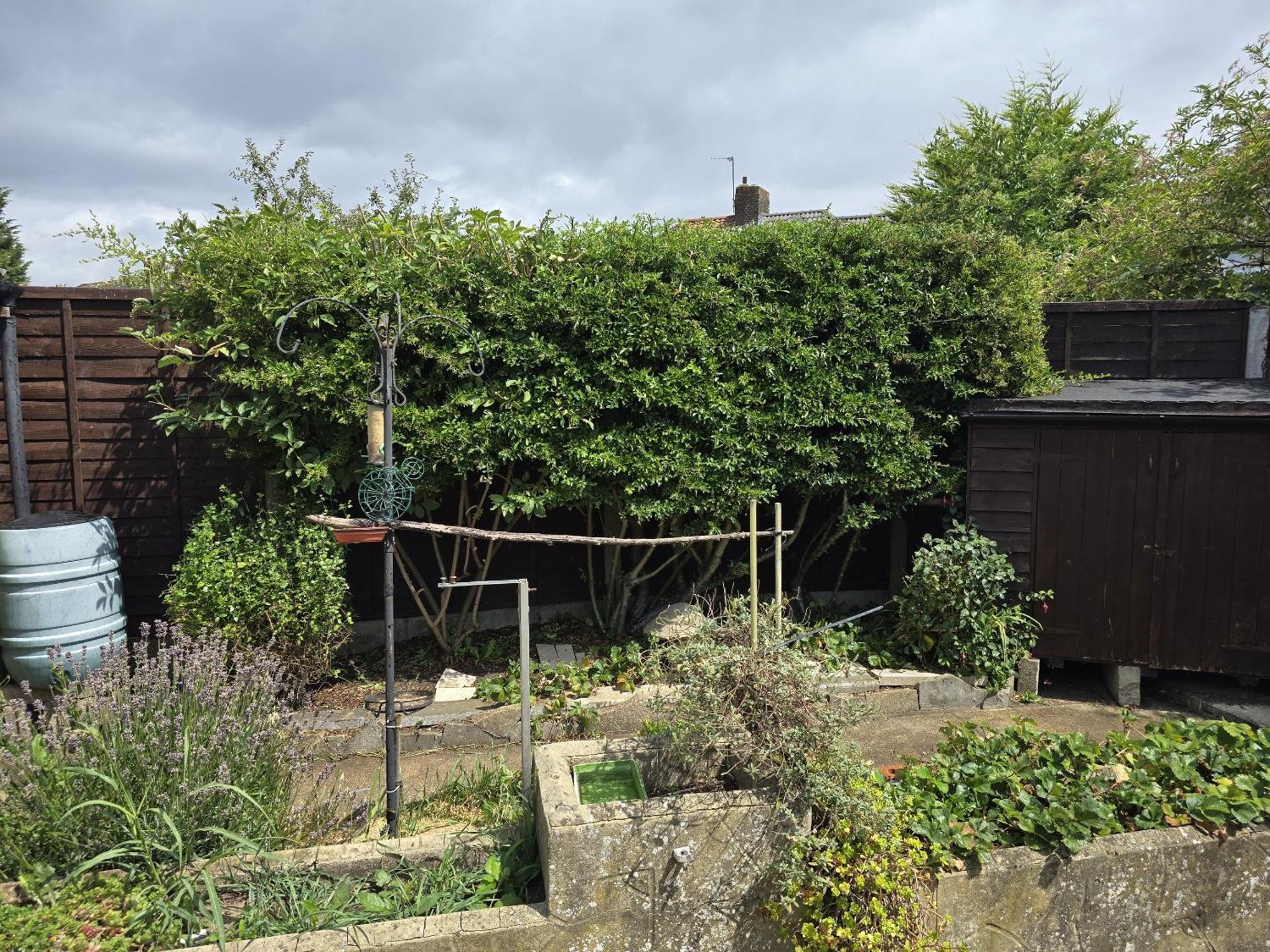 Guest house North Downs London